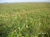 s_PICT0095_thumb.png